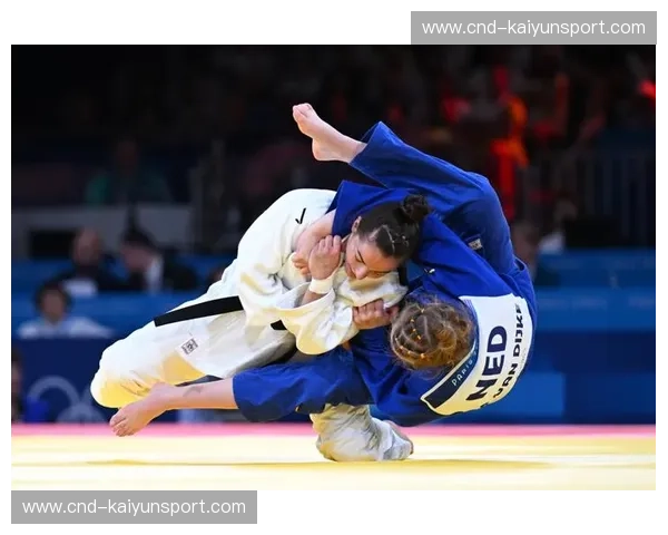 积分榜柔道——把每一次倒地都变成跃升的机会